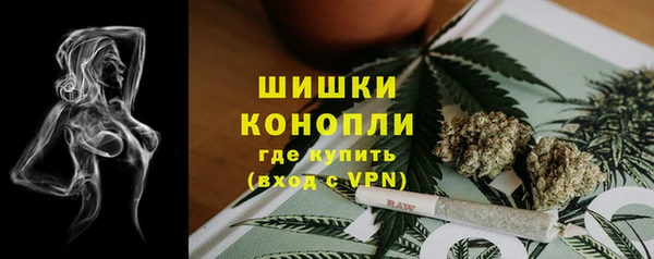 спайс Арсеньев