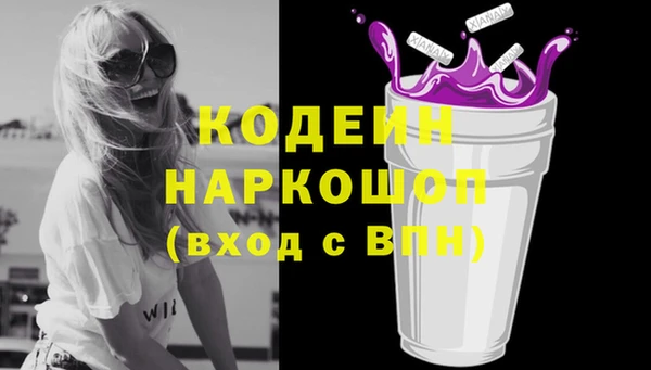 прущий лед Аркадак